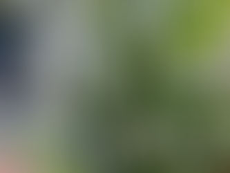 立派になりました!