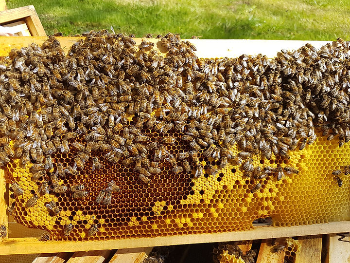 20170429_155735.jpg