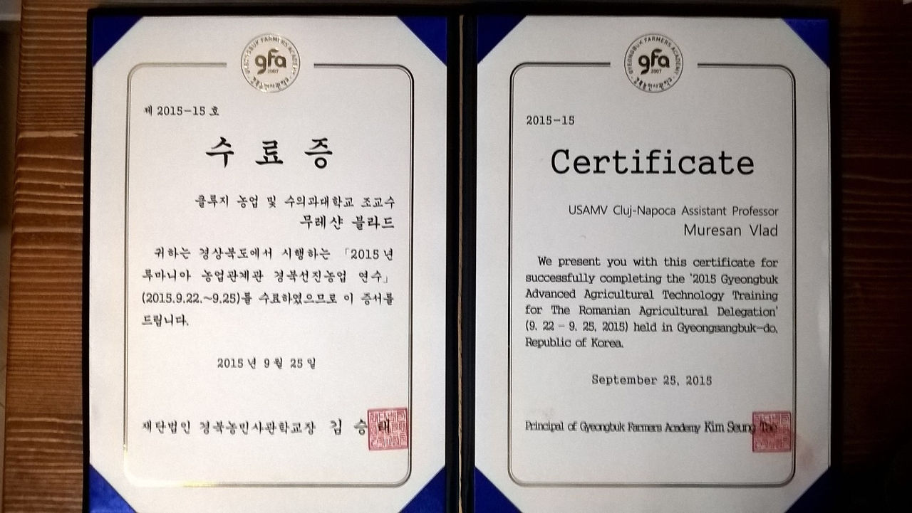 South Korea 5