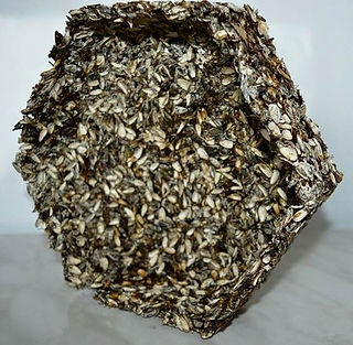 Ecotrophelia 4