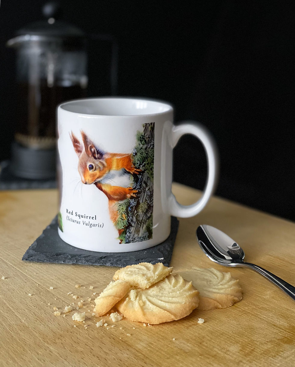 Thumbnail: Red Squirrel 10Oz Ceramic Mug