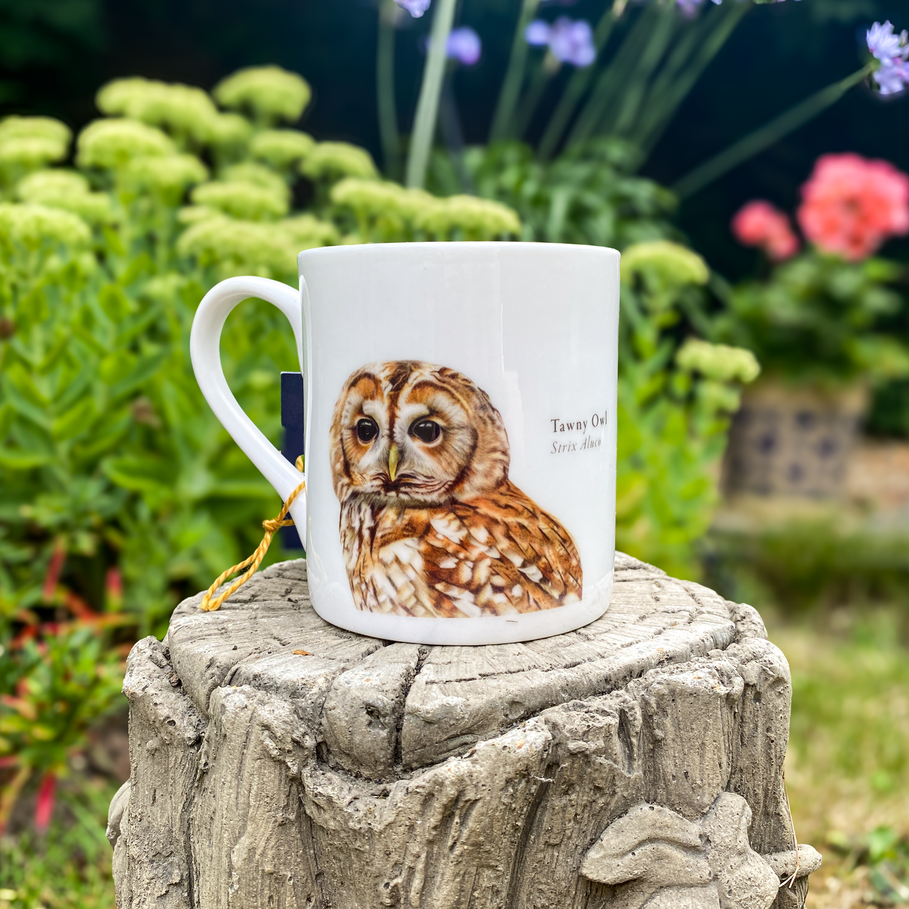 Tawny Owl 8oz Bone China Mug