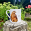 Thumbnail: Red Kite 8oz Bone China Mug