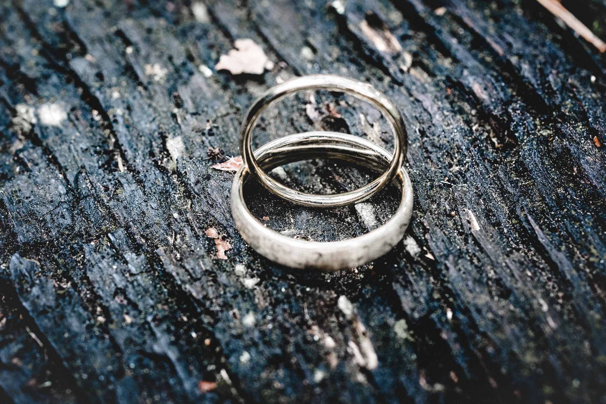 Hochzeitsfotograf Gießen
