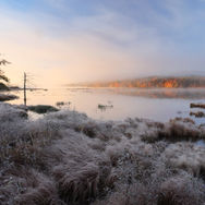 IMG_5005.JPG