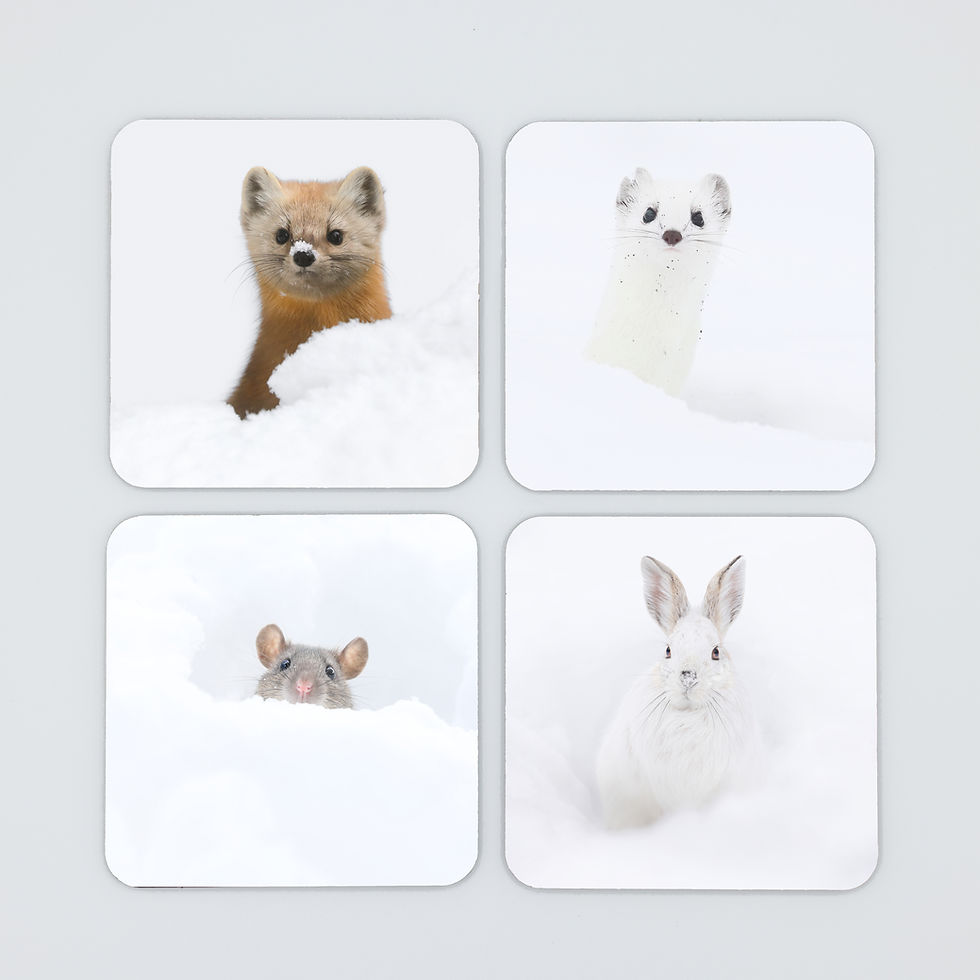 Miniature : Sous-verres