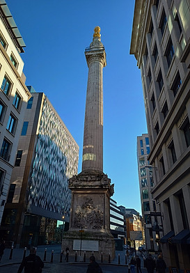 IMG_20220117_111450492_HDR_edited.jpg