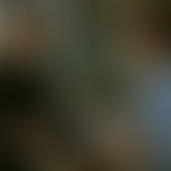 Cómo retener talento y alinear intereses en startups