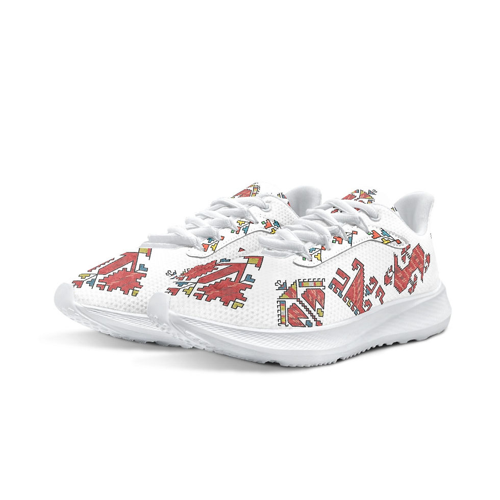 Миниатюра: Sofia Svilenitsa Heritage Custom Folk Motif Trainers