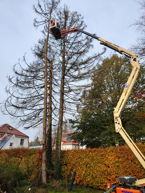Hubsteigerarbeiten