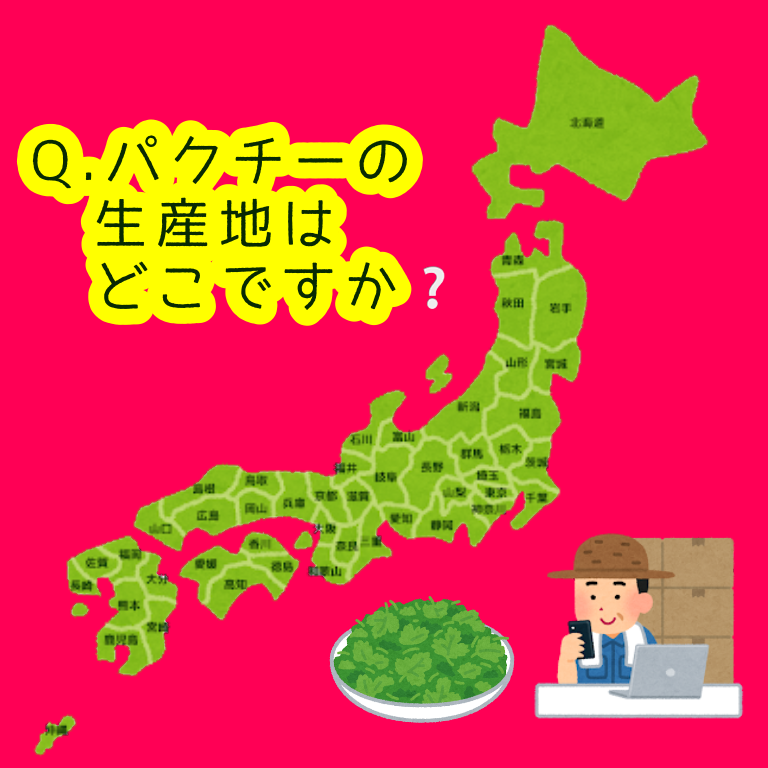 パクチー なぜなに相談室 初級編