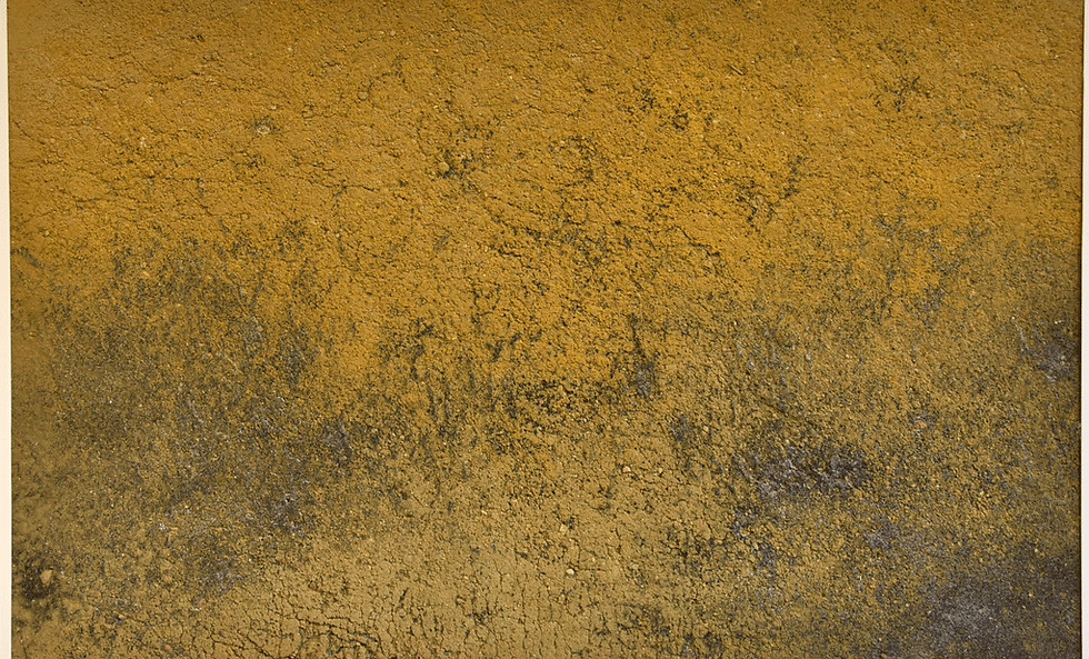 DSC_8729.png