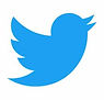 Twitter-logo-1.jpeg