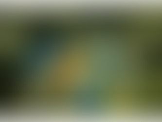 Join Our Outdoor Education Programs at St Oliver’s Scout Group