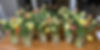Tulip Bouquets.jpg