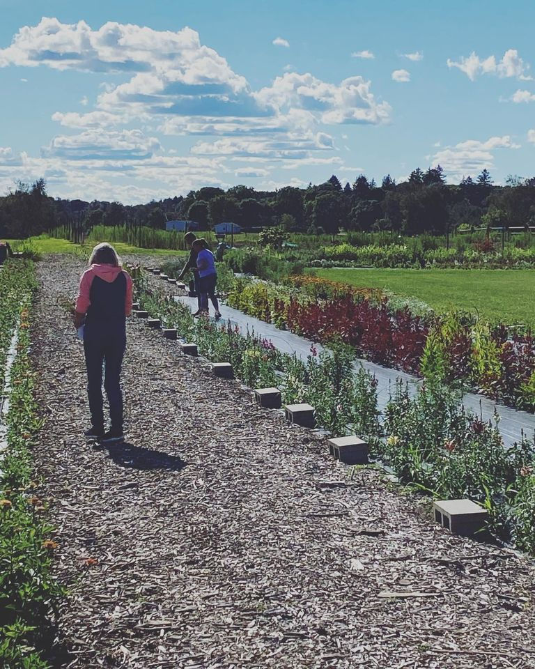 U-Pick Flower Bouquet