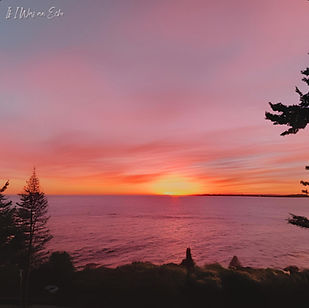 Screenshot 2025-06-12 at 14_edited.jpg