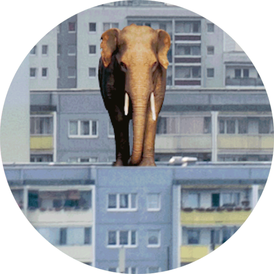 Design.gif