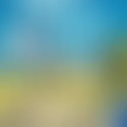 MY CITY: ROLL & BUILD