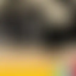 CAT IN THE BOX DELUXE EDITION