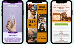 Email Swipe Examples (3)
