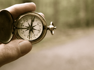 Missão de Vida, Propósito e Visão de Futuro: A Tríade da Excelência!