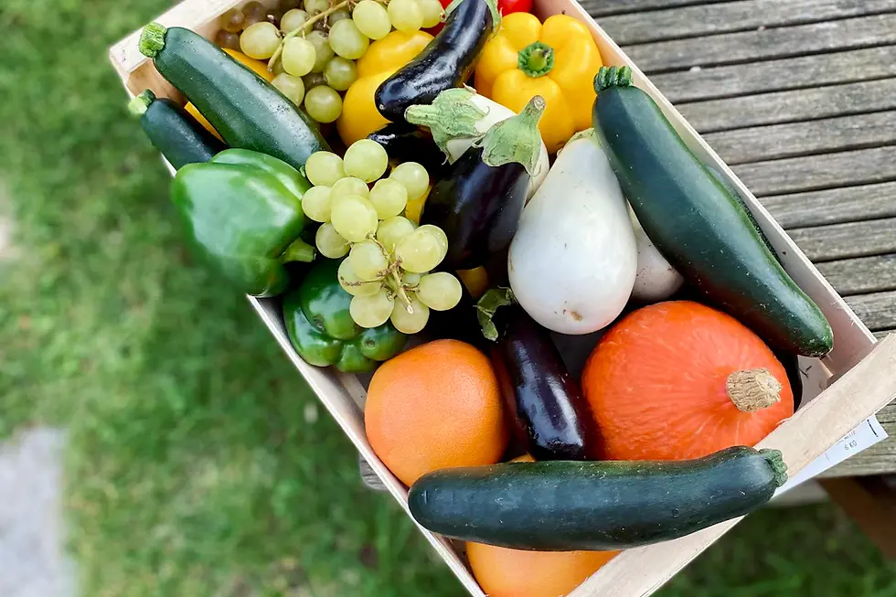 Seasonal Eating: Embrace the Bounty of Nature for a Healthier You