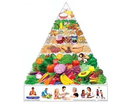 Understanding Nutritional Therapy: A Whole-Person Approach to Health