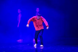 ballerino