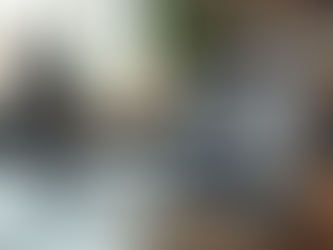 Why Tailored Websites Matter for Your Brand