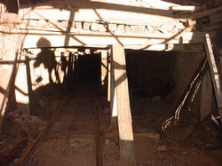 Vulture Mine