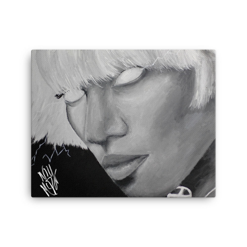 Storm 16x20 Canvas Print