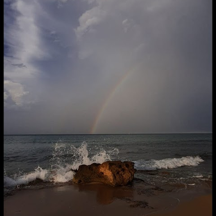 Dopo il diluvio