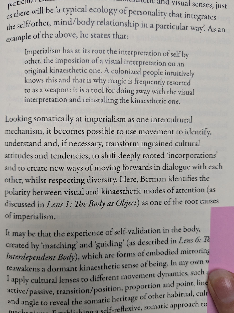 PXL_20241126_142204038