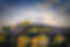 Cleaners pontypridd