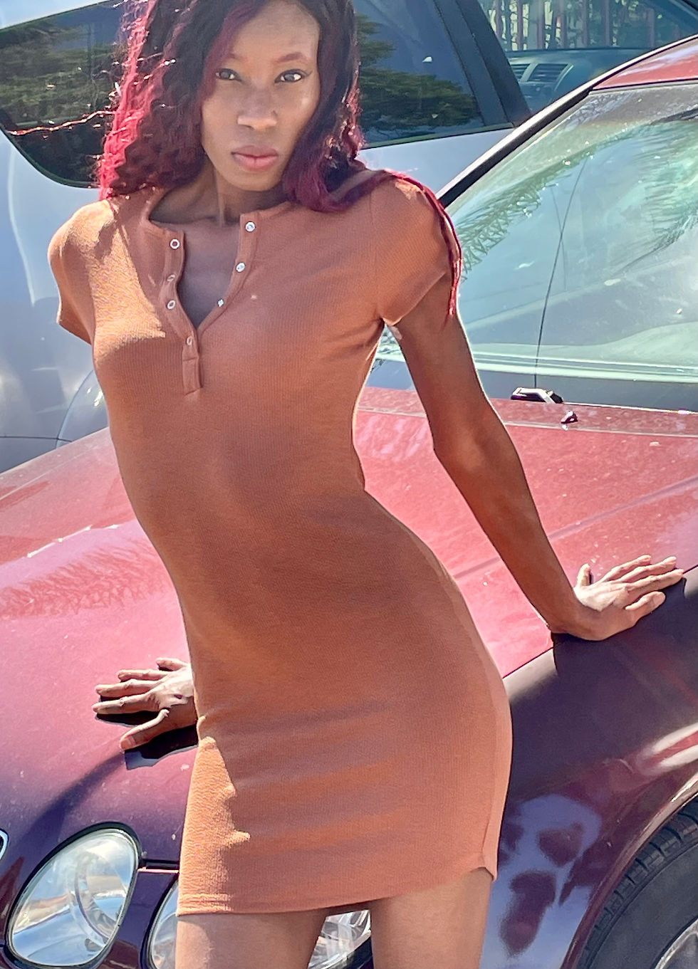 Brown Buttoned Dress