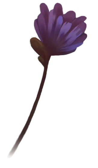 morada_edited.png