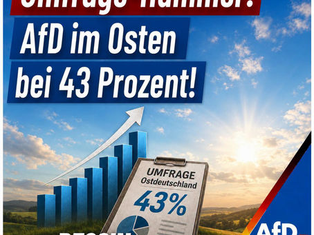 Umfrage-Hammer: AfD im Osten bei 43 Prozent!