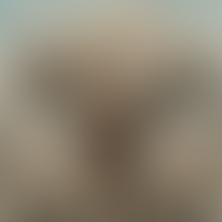 Language and History: The History of Nations