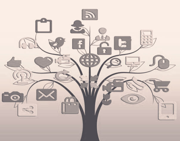 Websites & Social Media
