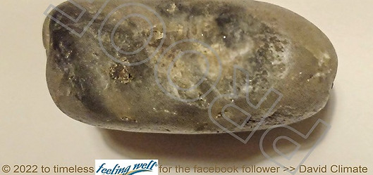 Bildnis_auf_Stein-01_PR-030422-1_feeling-wellTM_Poster_an_David_Climate_facebook_follower_