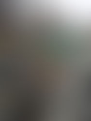 Norsk Vegetasjonskontroll AS