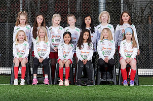 Fjellhamar FK - J2017.jpg