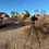 Thumbnail: Mojave