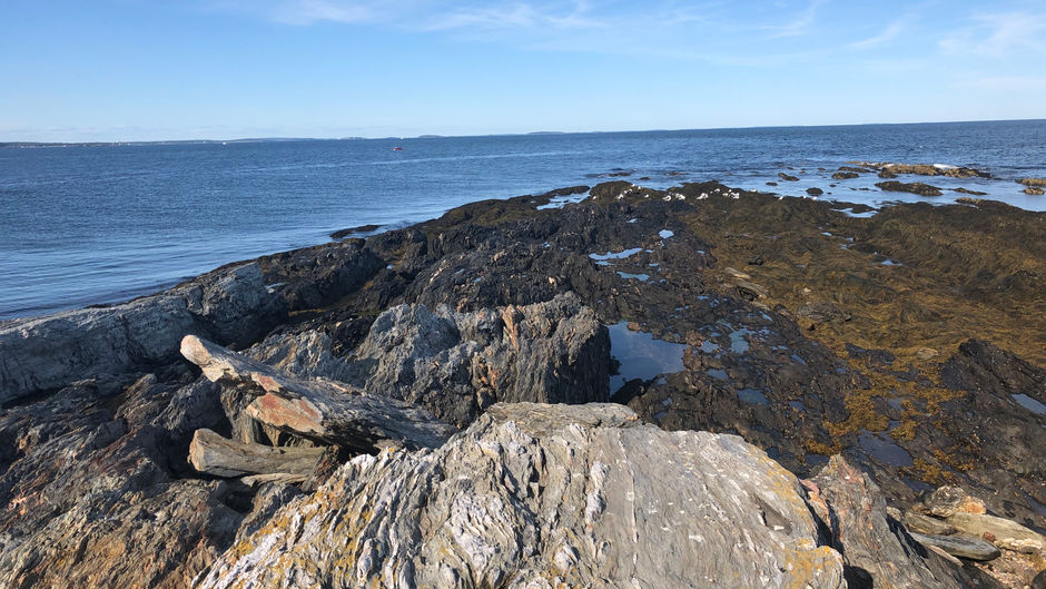 1. Trundy Beach Sounds - 9-01-19