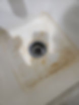 20250329_100117.jpg