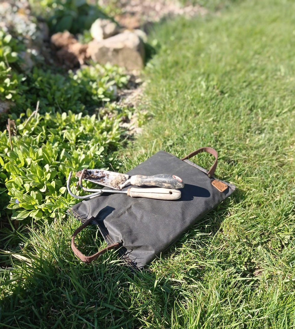 Thumbnail: Kneeling pad