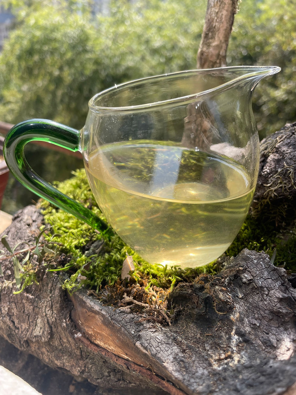 Thumbnail: Homemade Green Tea from Sister Ming