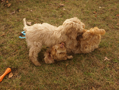 Mother - Daughter fun