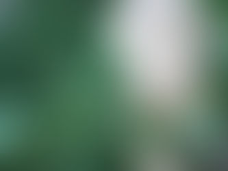 Something Royal aka Sunny